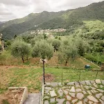 8 Beds- Surrounded By Greenery With Parking